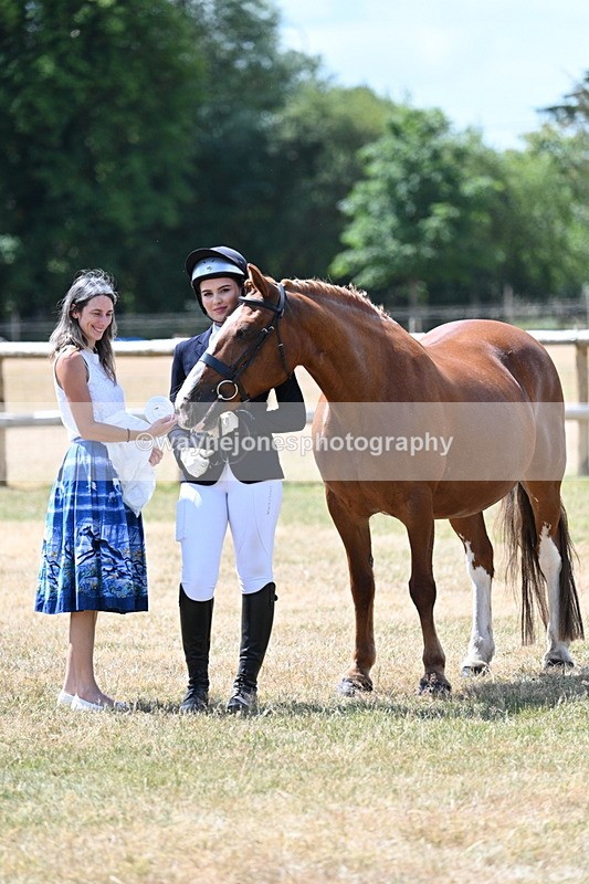 WJ7_2058 - Class 4a Prettiest Mare 14.2hh and over hand
