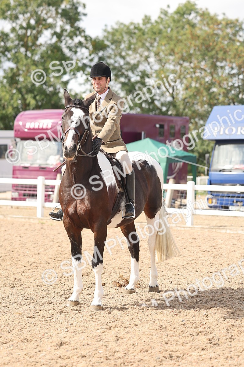 SBM_14798 - Class 308 - Ridden Coloured Horse