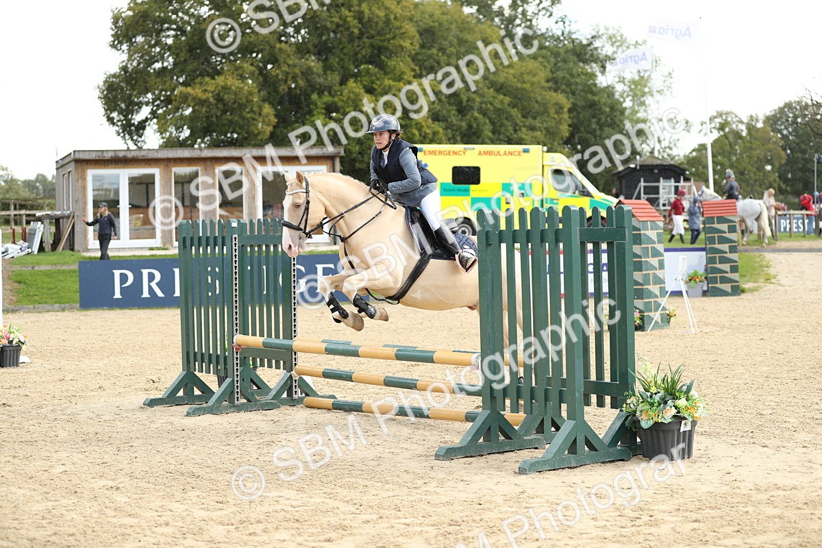 SBM_09890 - J36 - Veteran Rider 70cm