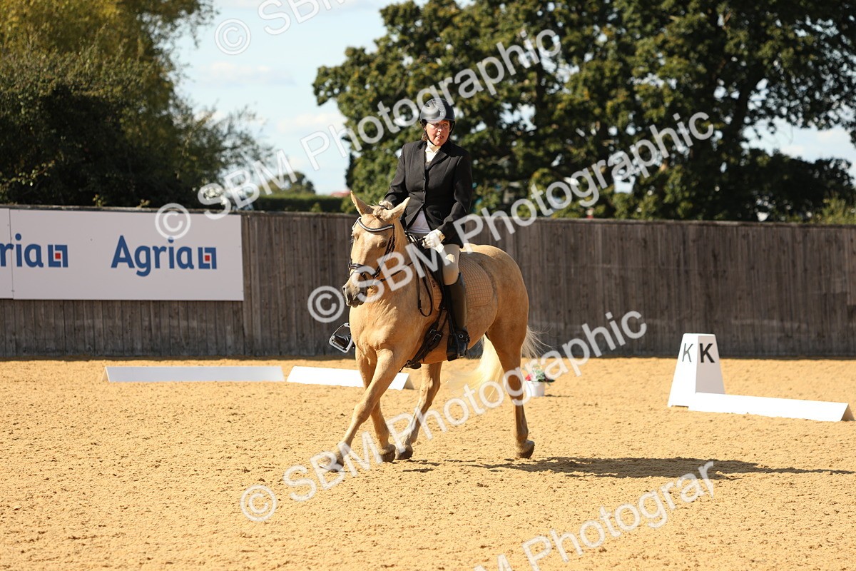 SBM_24559 - D17 - Grand Tour Championship - Novice 27
