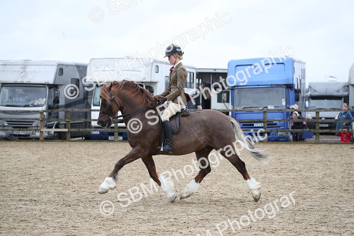 SBM_006383 - Class 10-13 - RIHS Small Large Breeds
