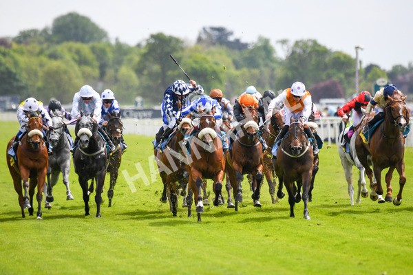170523-Race 2-Bielsa-0286 - Race 2 2.25pm Churchill Tyres Handicap