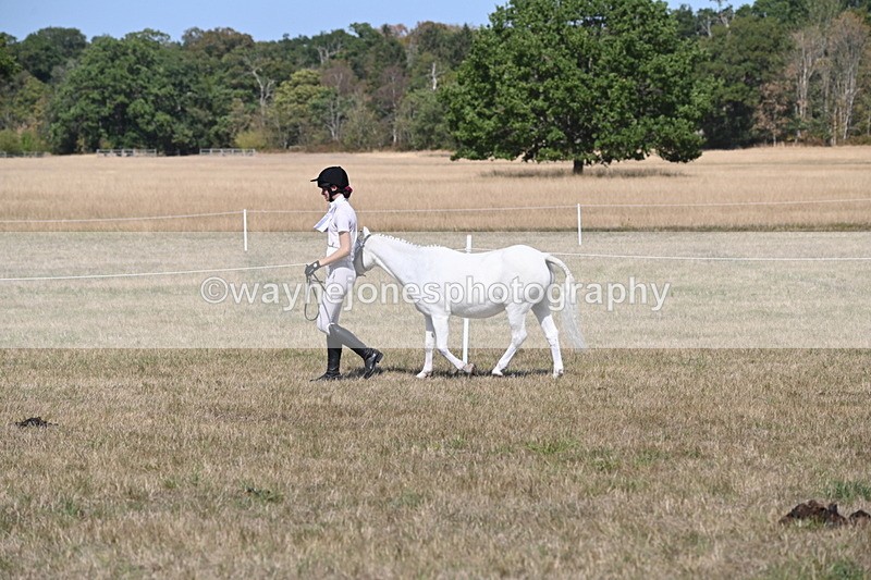 WJ6_9425 - Class 40 Cheekiest Pony/Horse