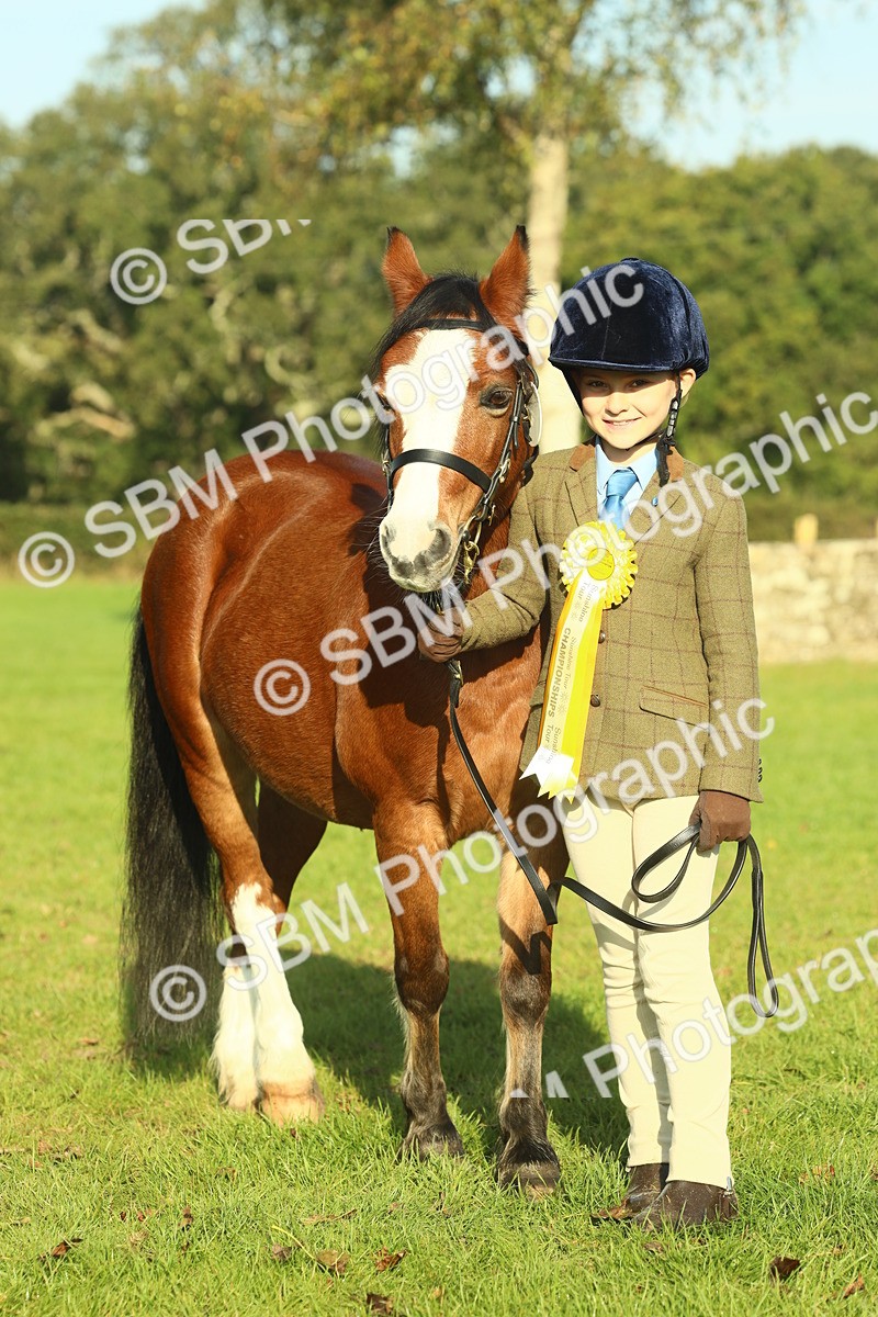 SBM_58521 - S37 - Starters In Hand Showing