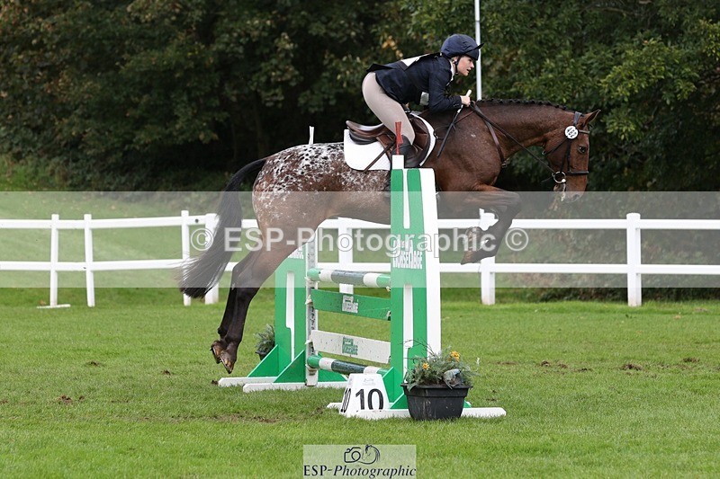 231022-133334-27767 - 482-ODDSPOT.VITAL.ELEMENT-Danielle.Davies-TrotUp+SJ