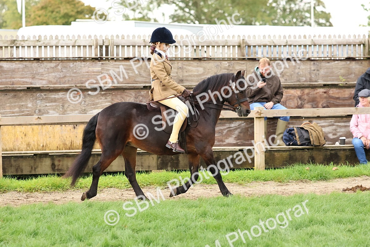 SBM_44954 - S27 - Young Veteran Ridden