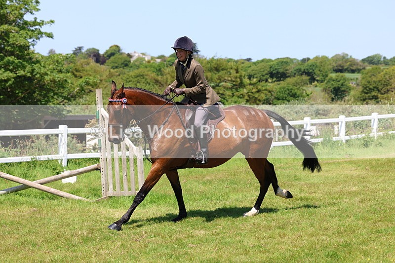 3E7A7529 - Class 31: Working Hunter Cob/Riding Horse