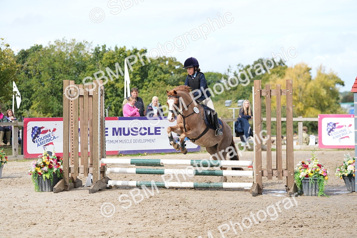 SBM_40742 - Supreme Championship Pony 50-55cm