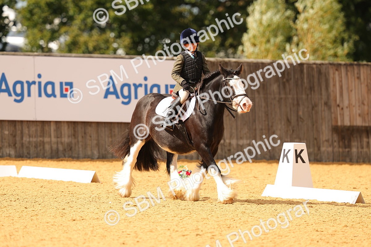 SBM_48233 - D22 - Junior Championship - Intro B