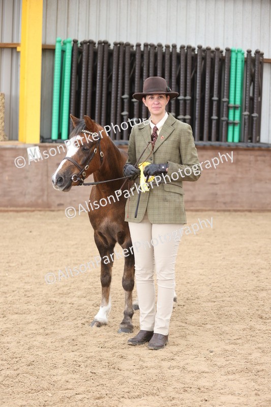 20251109-0688 - Class 22 - Geldings 4 Years and over