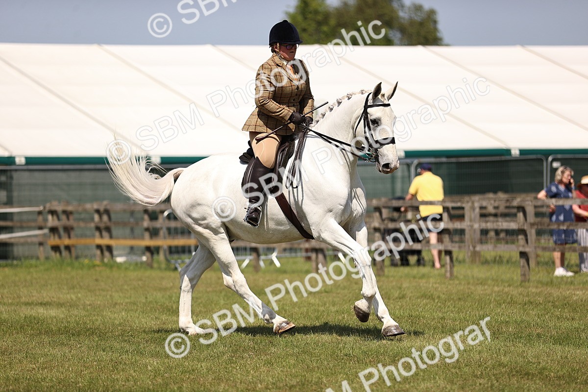 SBM_16100 - Class 79-80 - LIHS BSHA Rising Star Ridden Hunter