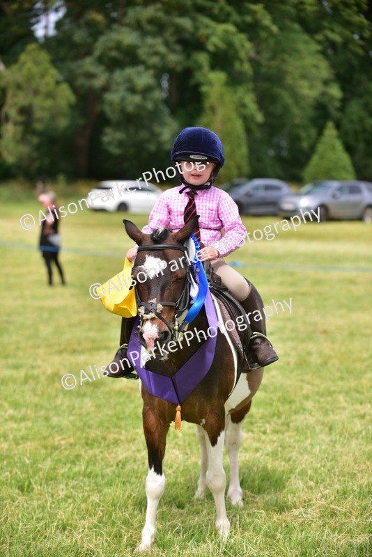 20260614-4025 - Class 16 - Handsome Gelding