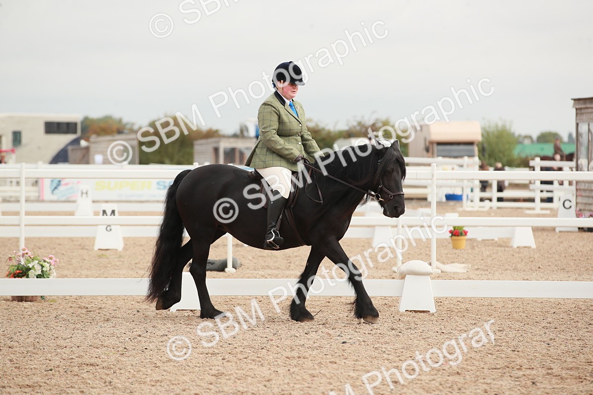 SBM_02552 - Class 30 - Intro 1