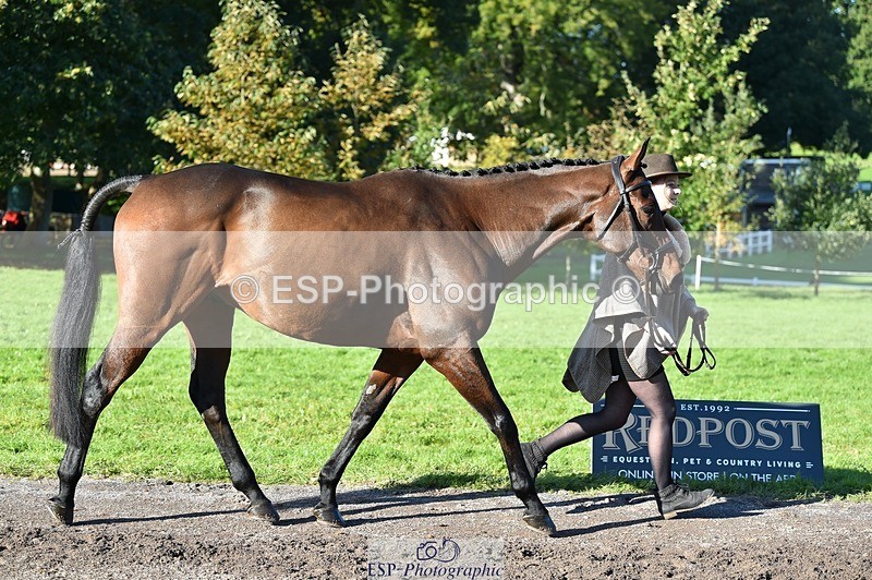 231022-105706-23613 - 501-LA.BASS-Aimee.Bickley-TrotUp+SJ