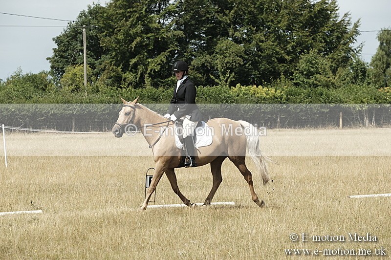 _PJP5803 - Dressage Classes BVRC Show 2018