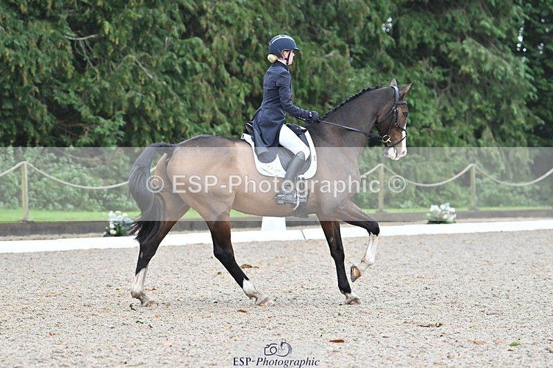 231019-104906-01982 - 103-BEECH.HILL.KIKO.CLOVER-Harriet.Blair-DR