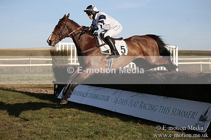 PtP 240218 681 - Vine & Craven Hunt Point-to-Point Barbury racecourse 24/02/18