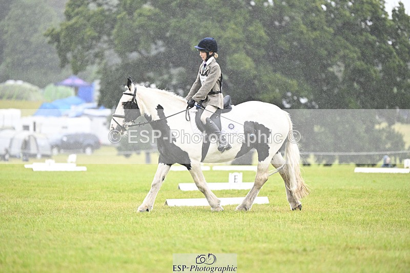 240824X-084822-20925 - D70 Section A and B 8.30 to 9.30