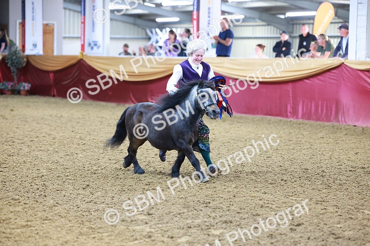 SBM_14761 - Class C - Novelty champ