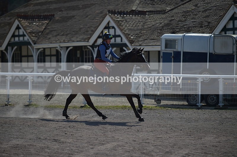 NGP_8246 - XC Time 13:29 to 13:34