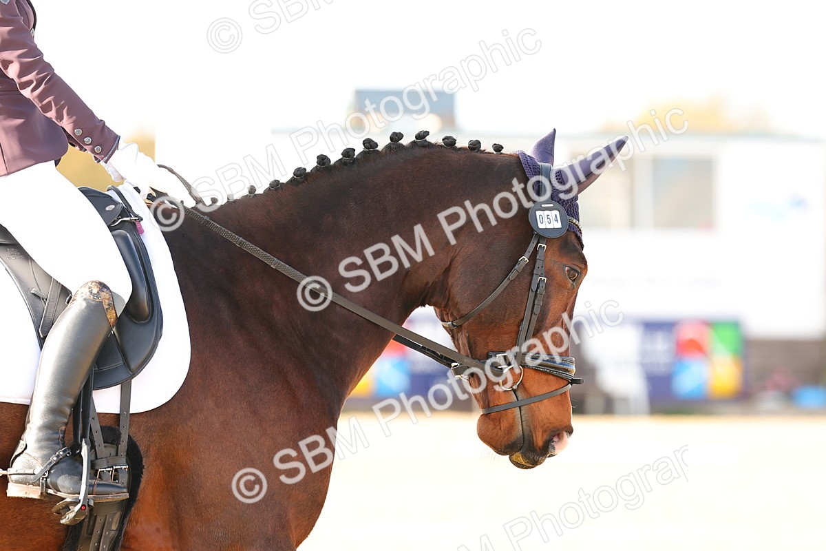 SBM_000867 - Novice 5