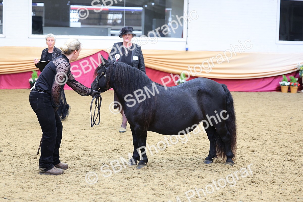 SBM_22861 - Class 903 - Supreme Final - IH Pre Vet