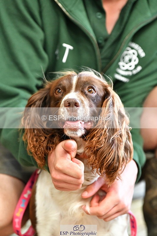 230804A-094755-02198 - Stable Shots