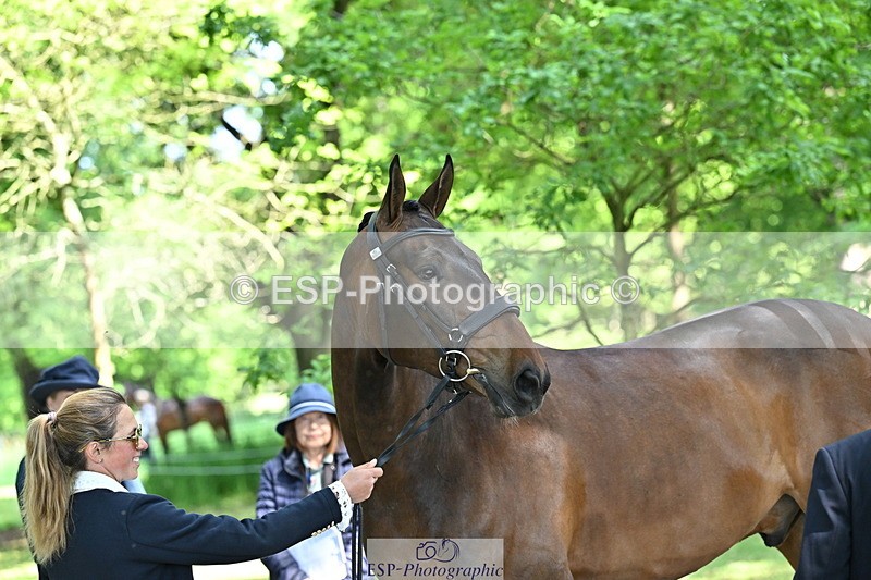 250521A-160019-00858 - C-279-Kitty.King-DASSETT.FLIGHT.PATH