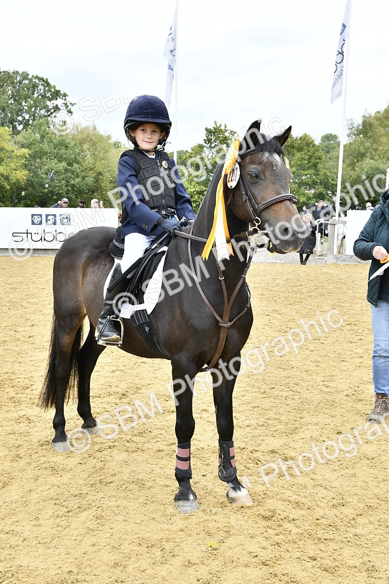 SBM_66227 - J2a mini Tour Junior Pony 30cm Championship
