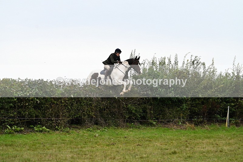 WJ7_4179 - Camera 1 Line 2