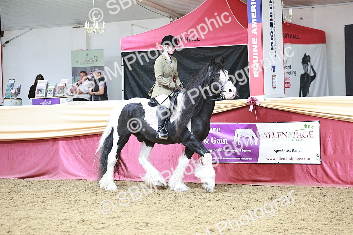 SBM_08628 - Regional Ridden Champ