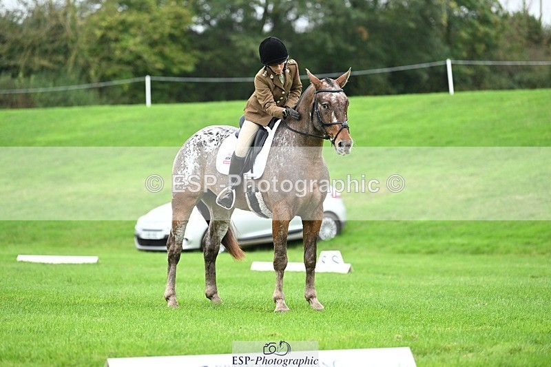241024-105414-03089 - 501-Captain.Holly.Day-MUSTANG