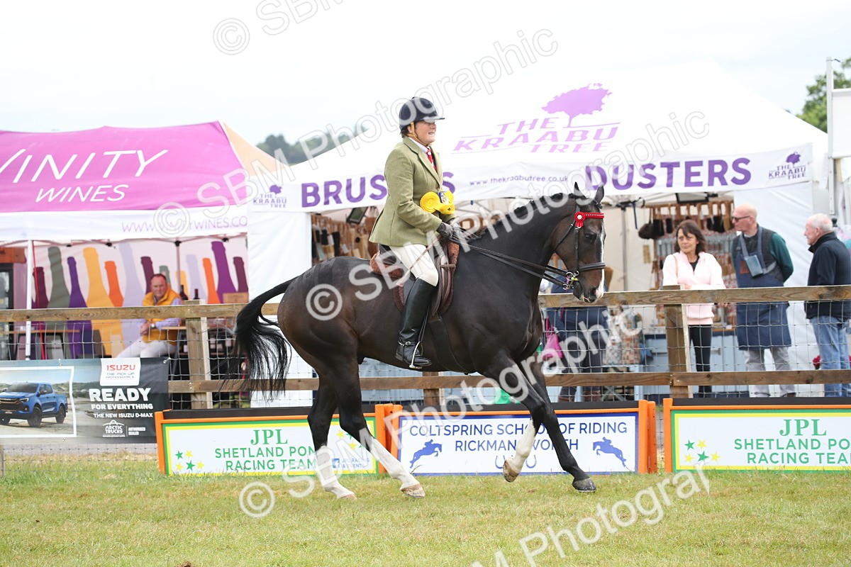 SBM_11485 - Class 94 - LIHS BSHA Racehorse to Showhorse