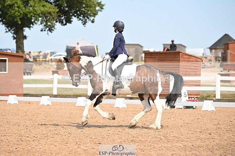 250816-140510-05001 - 050-Mollie.SheathTouch.Wood