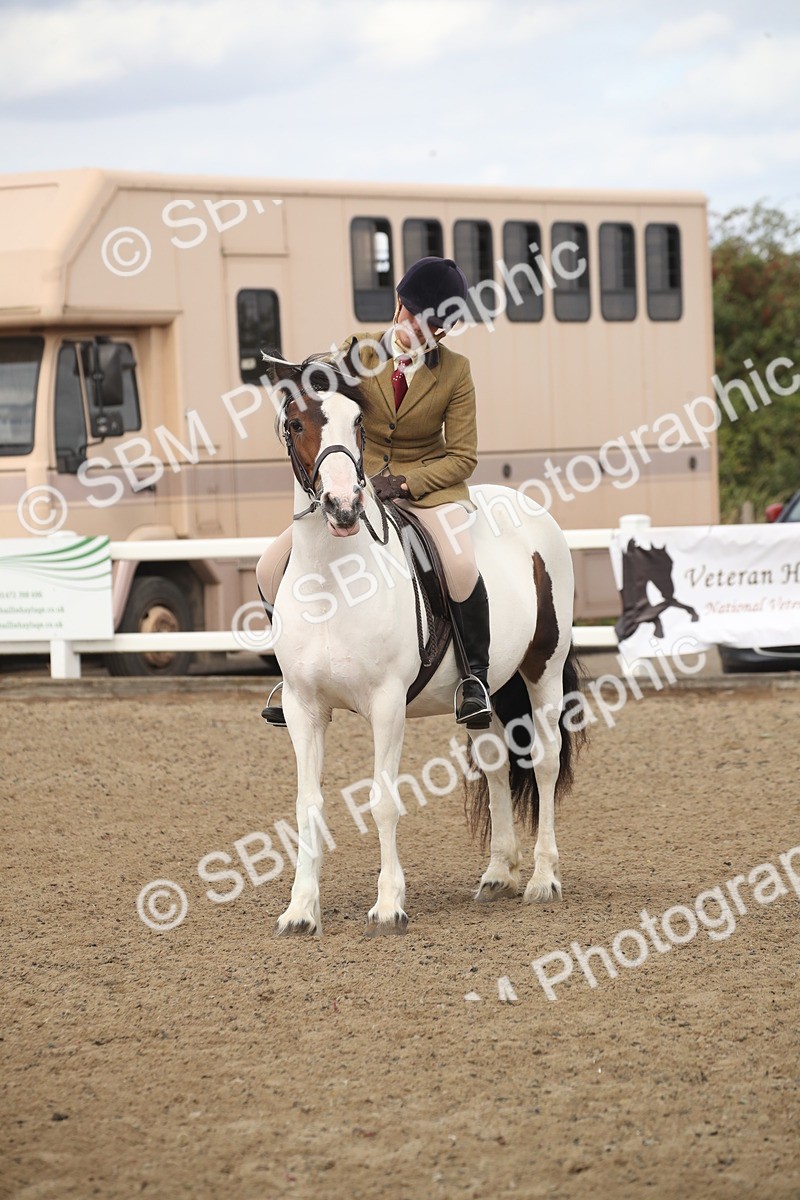 SBM_15240 - Class 506a - Working Veteran - 50cm (15-19)