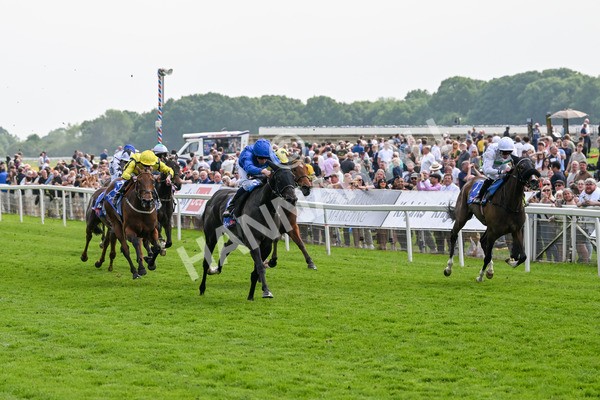 170524-Race 3-Devoted Queen-7864 - Race 3 3.15pm Sky Bet Fillies' Stakes (Registered As The Michael Seely Memorial Fillies' Stakes)
