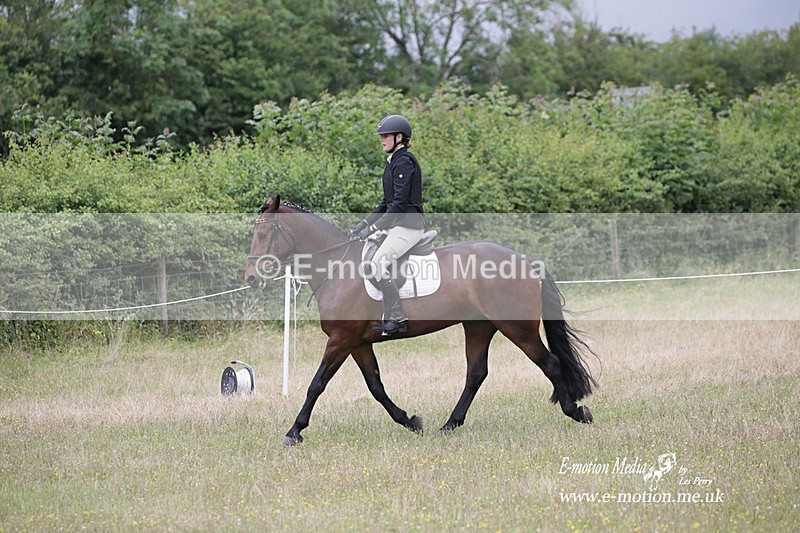 BVRC 030721 807 - Bourne Valley Riding Club Dressage 03/07/21