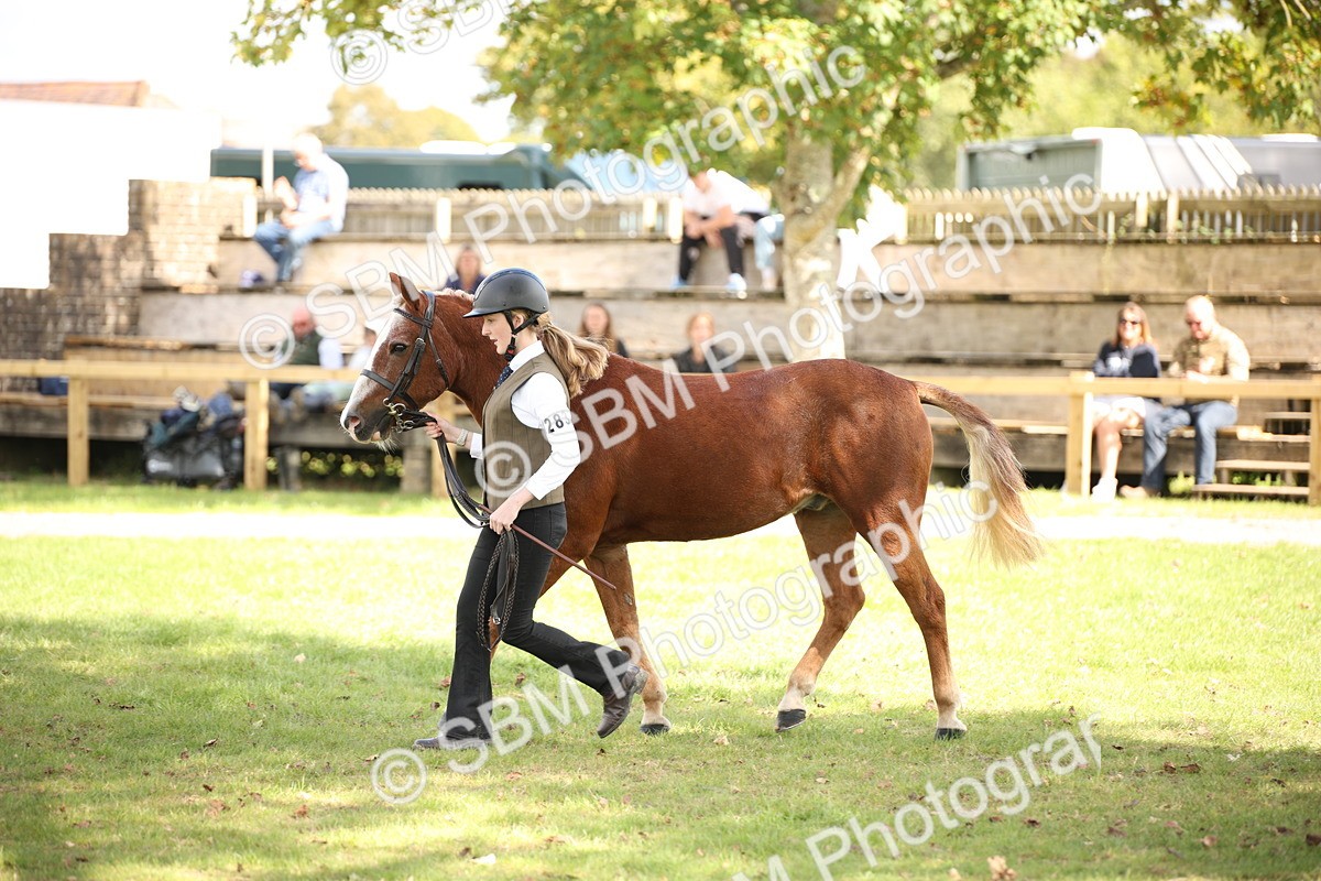 SBM_44449 - S24 - Young Veteran in hand