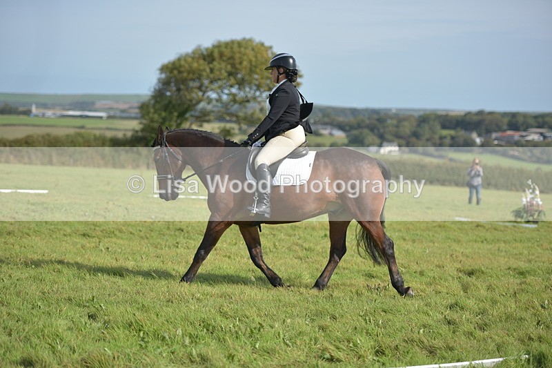 RAY_7728 - Class 2B: Trekenning Open: Dressage