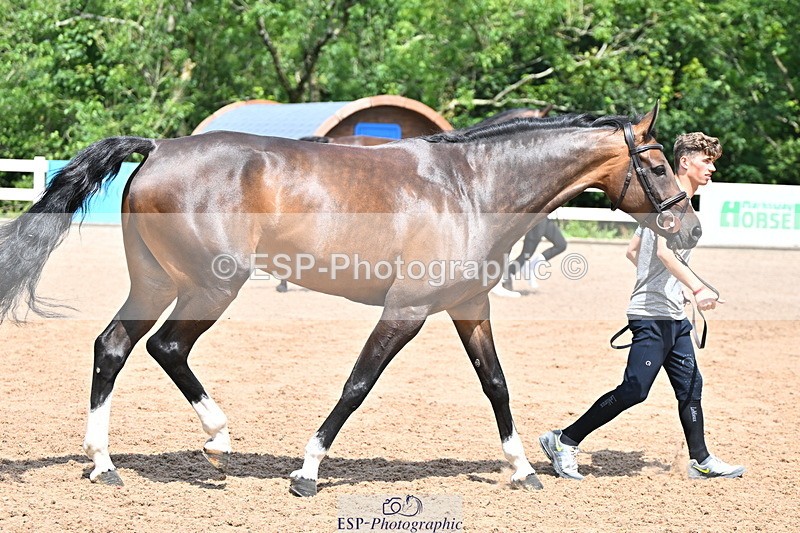 240718A-105302-01477 - Trot Up 12pm to 1pm