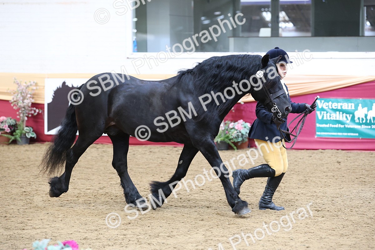 SBM_24080 - Class 905 - Supreme Final - Ridden Veteran