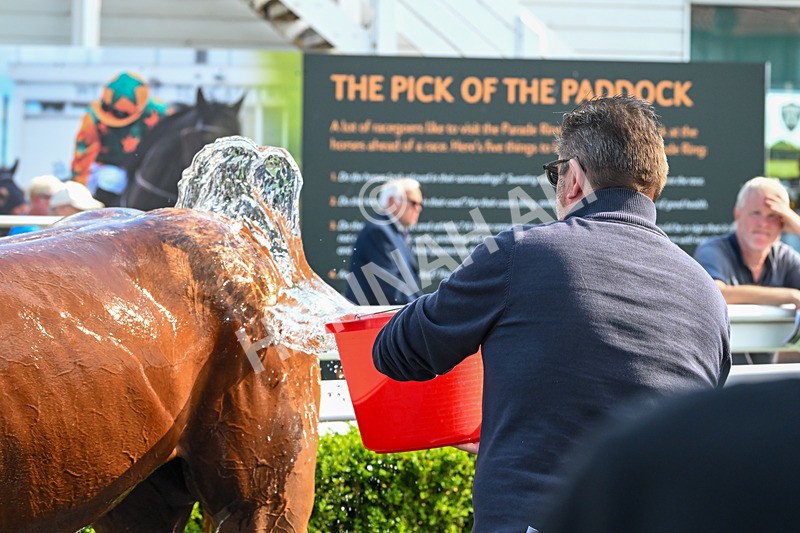 160725-Race 6-Bellarchi-9612