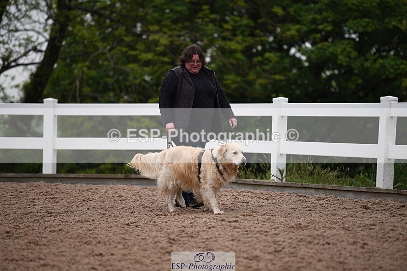 240518A-124728-01193 - Cls 5 Best Purebred