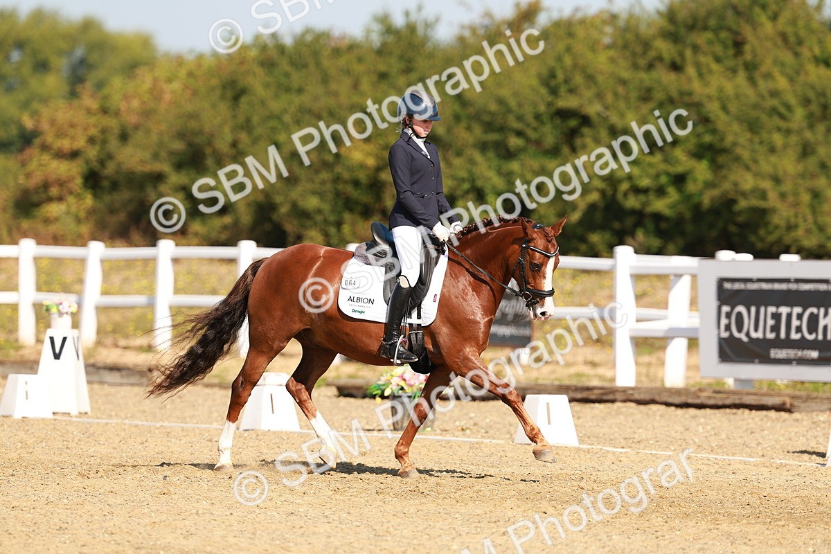 SBM_016827 - Class 9 - N5 Bronze 9.30.10.19