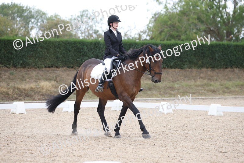 20250820-0333 - Class 11 - My Quest Novice 3