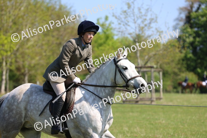 20250427-2436 - Class 19 - Mini Working Hunter