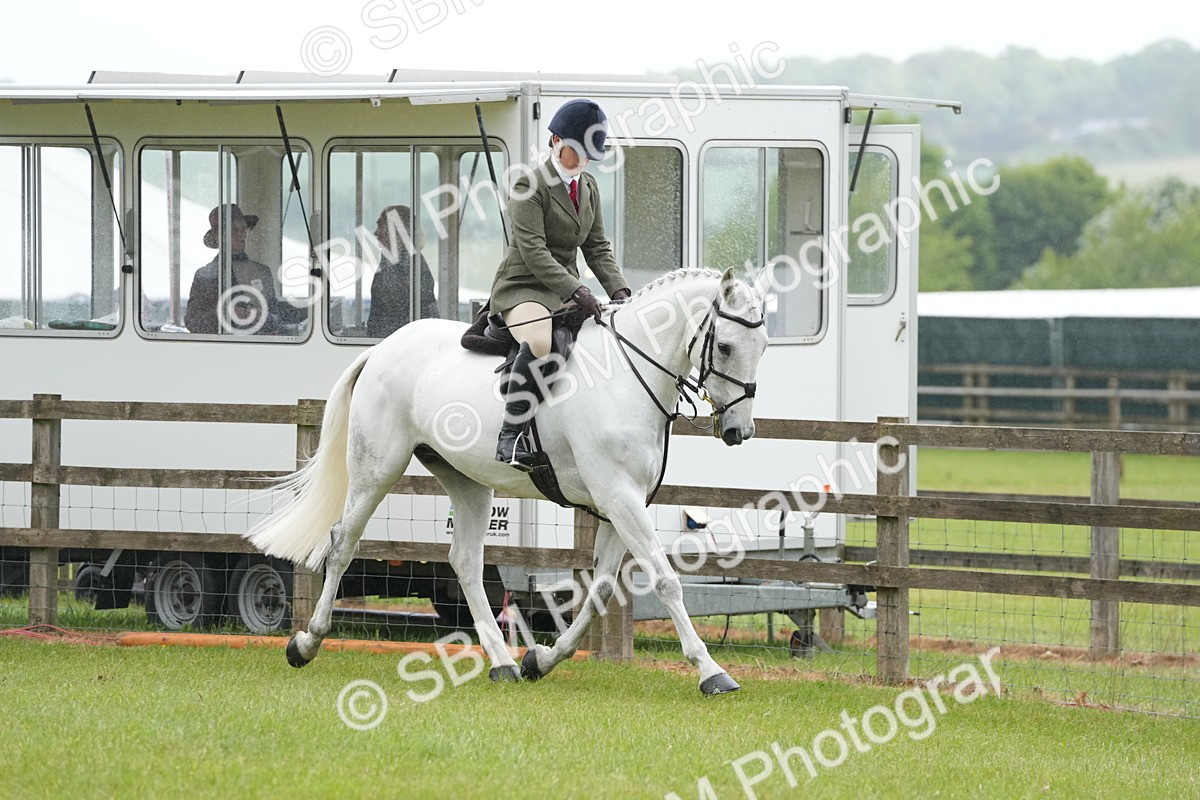 SBM_12647 - Class 97-98 - LIHS BSHA Rising Star Working Show Horse Hunter