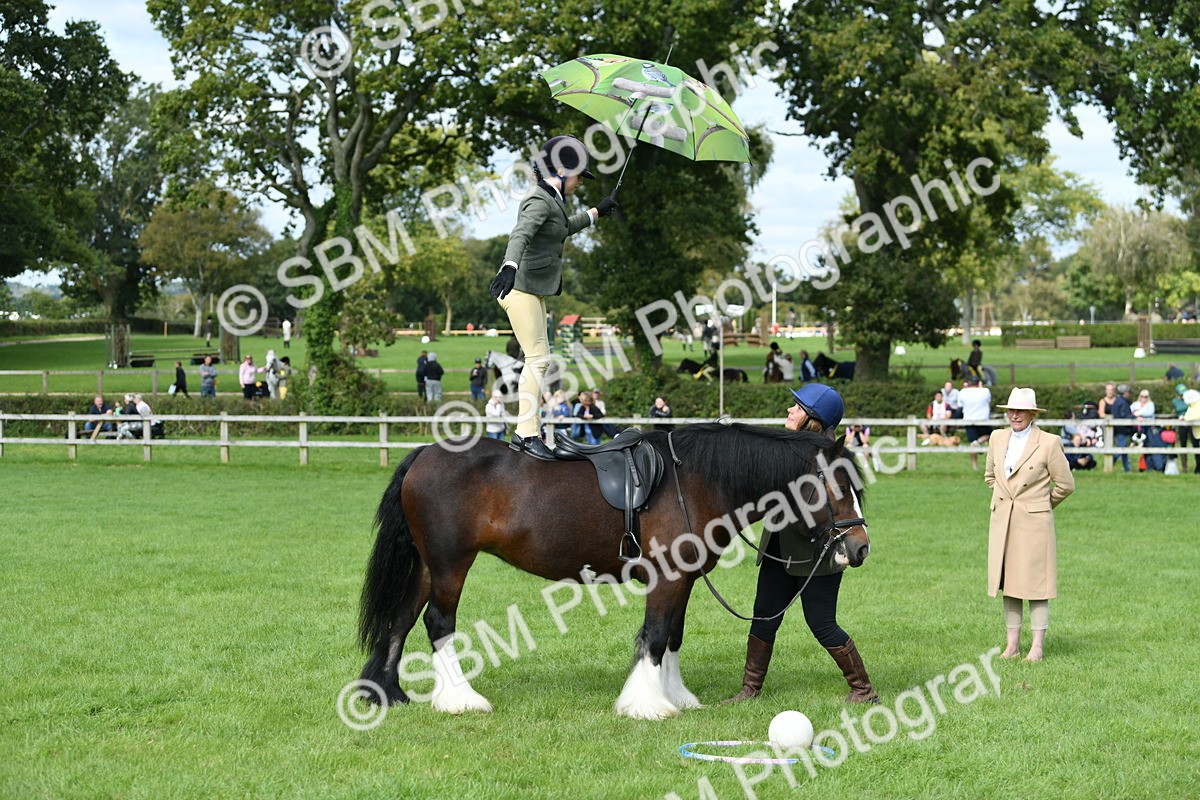 SBM_46933 - S12 - Family Horse & Pony