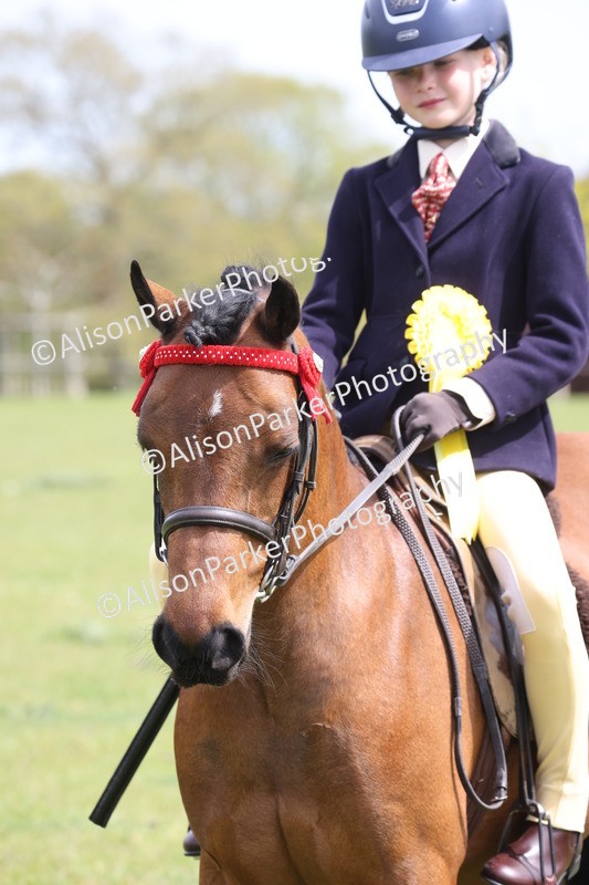 20260426-4019 - Class 33 - Best Pony 14.2hh and Under