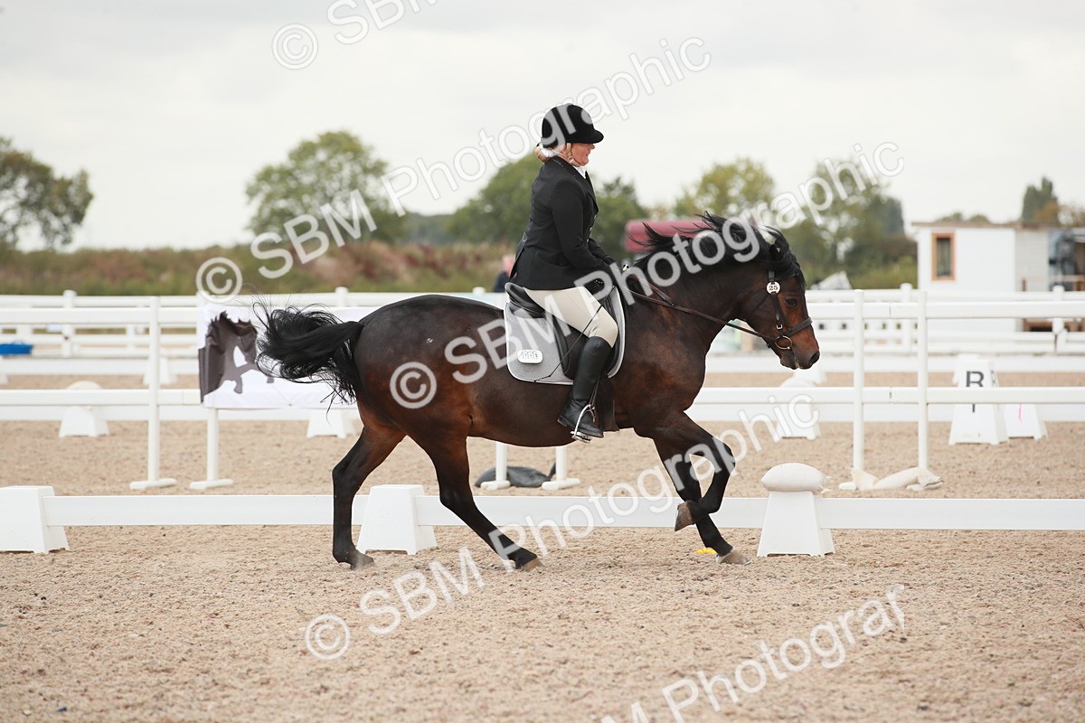 SBM_03756 - Class 31 - Prelim 1